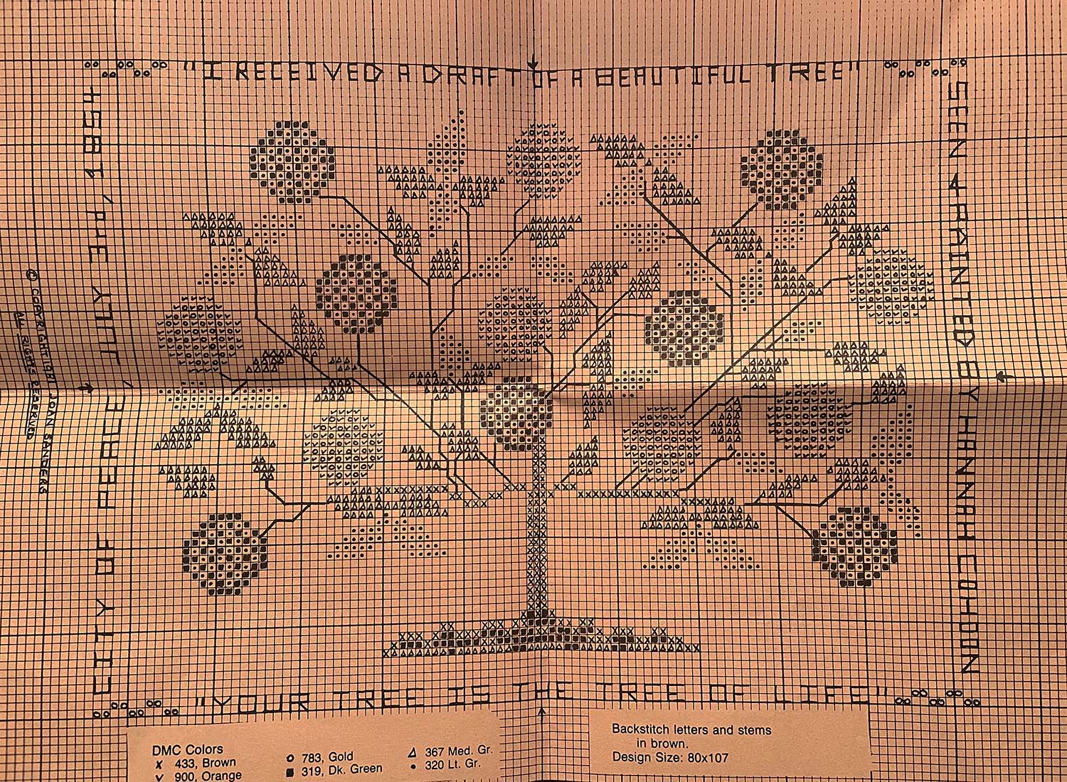 Cross stitch pattern for a tree of life. In the pattern, around the tree, starting from the top and moving clockwise, reads: I RECEIVED A DRAFT OF A BEAUTIFUL TREE / SEEN AND PAINTED BY HANNAH COHOON / YOUR TREE IS THE TREE OF LIFE / CITY OF PEACE, JULY 3, 1854